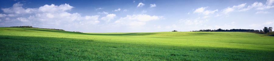 conni_eyrich_0011_Ebene 4.jpg